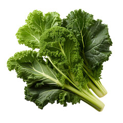  Kale png. kale top view png. kale flat lay png. kale isolated - obrazy, fototapety, plakaty