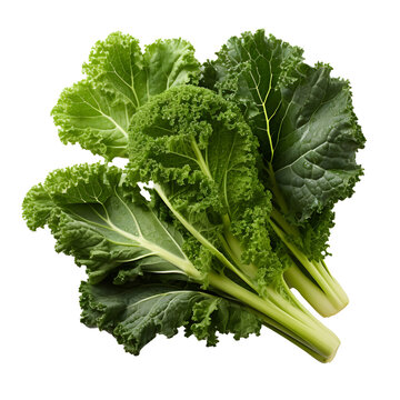  Kale png. kale top view png. kale flat lay png. kale isolated