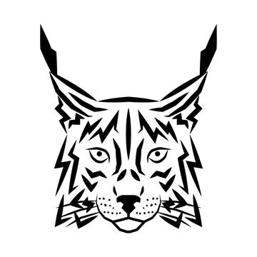 lynx head logo. wildlife bobcat face icon. Heraldry and royal symbol. Vector illustration image.