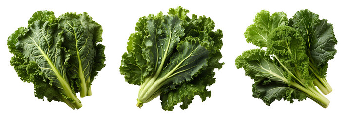 Kale png. Fresh lettuce leaf png. Spinach png. Green leafy vegetable png. Kale top view png. Kale flat lay png. Leaf cabbage png. Brassica oleracea png. Kale set png - obrazy, fototapety, plakaty