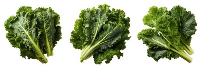 Kale png. Fresh lettuce leaf png. Spinach png. Green leafy vegetable png. Kale top view png. Kale flat lay png. Leaf cabbage png. Brassica oleracea png. Kale set png