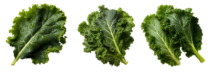 Fotobehang Kale png. Fresh lettuce leaf png. Spinach png. Green leafy vegetable png. Kale top view png. Kale flat lay png. Leaf cabbage png. Brassica oleracea png. Kale set png © Divid