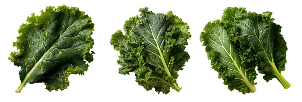 Kale png. Fresh lettuce leaf png. Spinach png. Green leafy vegetable png. Kale top view png. Kale flat lay png. Leaf cabbage png. Brassica oleracea png. Kale set png