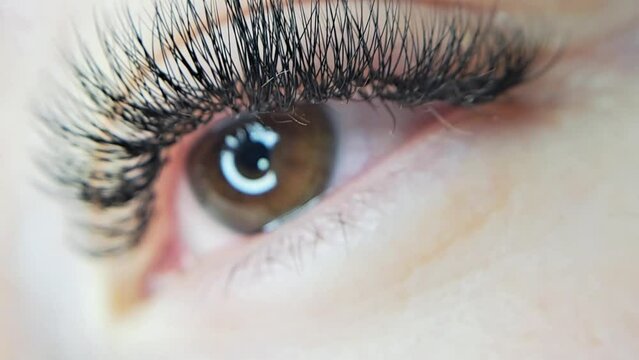 Close up of eyelash Extensions, beauty treatment in salon. High quality 4k footage