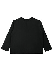 men's t-shirt isolated on white background