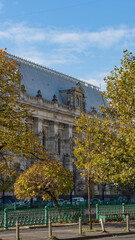 autumn in park