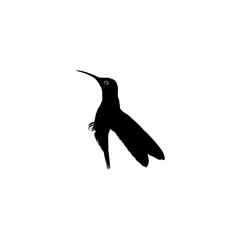 Flying Hummingbird Silhouette, can use Art Illustration, Website, Logo Gram, Pictogram or Graphic Design Element. Vector Illustration
