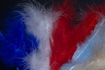feather, red, blue, white,  on black  background.