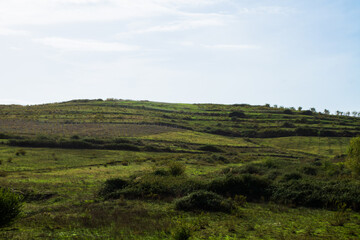 Fototapeta na wymiar Green landscape. Hills and bends of green fields