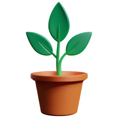 flower in pot 3d isolated with transparent background