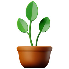 flower in pot 3d isolated with transparent background