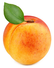 Fresh organic apricot isolated on white background