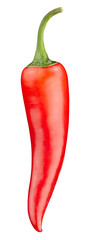 Organic chili pepper isolated