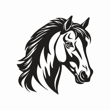 Horse vector Illustration