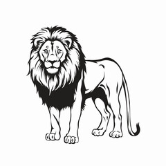 Lion vector Illustration