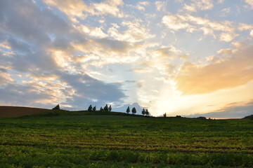 Obraz premium 北海道美瑛の日没