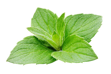 Pepper mint clipping path