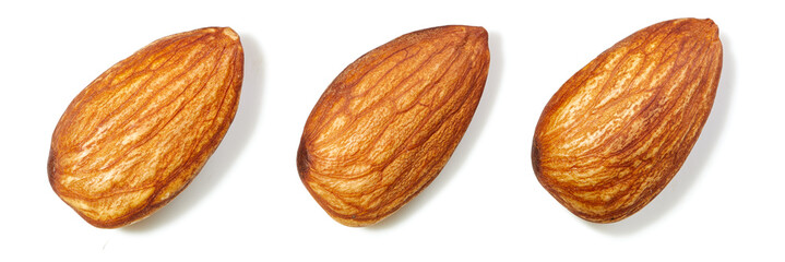Almond isolated on a white background