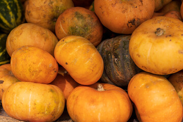 Decorative orange pumpkins on display at the farmers market