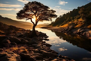 Untouched Beauty: Stunning visuals of protected natural areas, national parks, and wildlife sanctuaries highlighting untouched landscapes and diverse biodiversity.