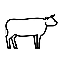 cow illustration