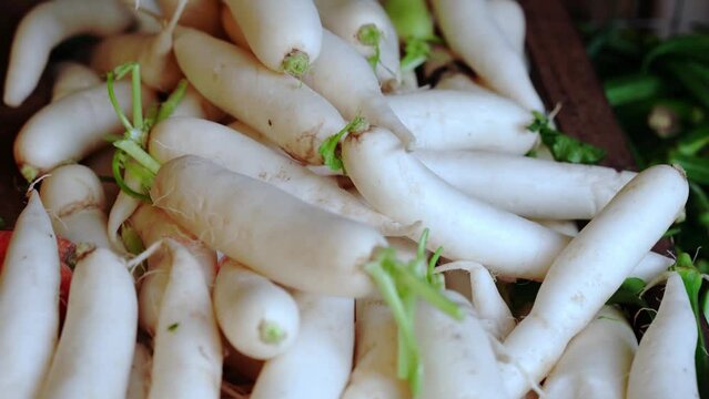 Organic local daikon radish vegetables for sale at outdoor asian marketplace