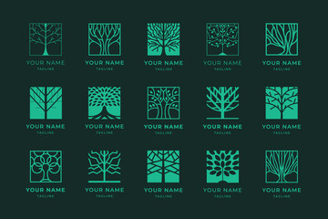 Circle tree of life emblem. Grow plant, circular tree with roots and leaves. Holistic verdant vitality branding label design template vector icons set