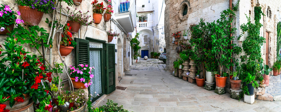 Fototapeta Traditional charming towns of southern Italy in Puglia region - Monopoli old town with floral narrow streets.