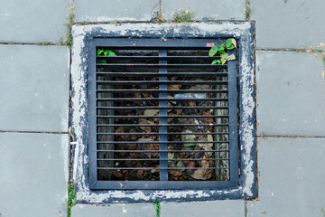 Clogged drainpipes are full of trash and leaves, which causes flooding.