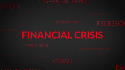 Unveiling Perspectives: A Dynamic Zoom into Financial Crisis Related Themes