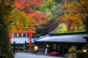 京都 秋の紅葉に彩られた嵯峨鳥居本の伝統的な情景