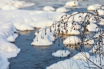 Tree branches under the snow on the background of the river. Winter background. - 683418642