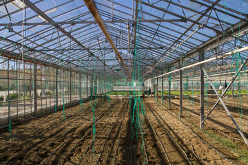 Inside the greenhouse there are beds with soil prepared for sowing