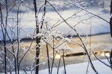 Tree branches under the snow on the background of the river. Winter background. - 683419259