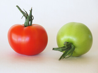 One red, ripe and one green, unripe tomato