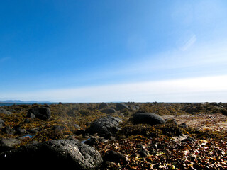 Iceland's Volcanic fields