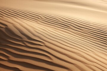 Fototapeta na wymiar A detailed view of a sand dune in the desert. This image can be used to depict the vastness and beauty of the desert landscape