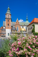 Pink roses in front of Royal Wawel castle in Krakow Malopolska region in Poland