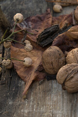 Autumn, leaves on the ground, some fruits. A still life of the Fall