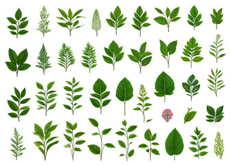 An organic tapestry of vibrant petals and verdant foliage, a visual symphony of nature's ever-changing beauty. 