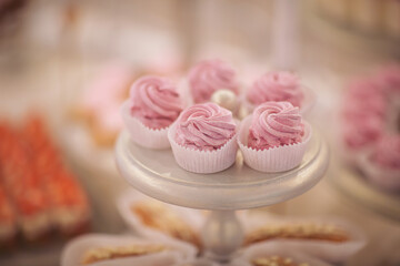 Closeup of many small cakes, sweets, fruits served on plate for cocktail party or shelves of store. Candy bar on birthday or wedding holiday dinner. catering food. tasty dessert. Wedding banquet table
