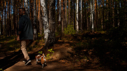 Jack Russell Terrier on walk in the woods. Stock footage. Teenager with his pet walking in forest.