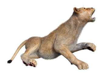 3D Rendering Female Lion on White