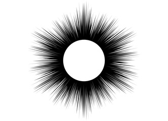 
Vector circle pattern with black rays on a white background. Explosion. Abstract star, sun. Vector background