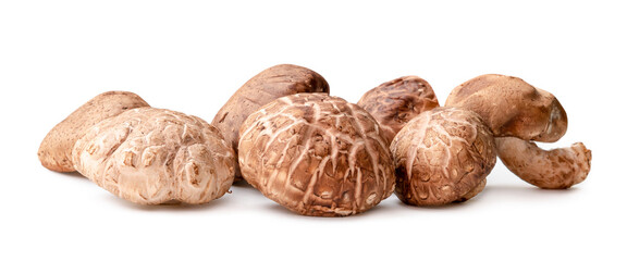 Fresh and dry shiitake mushrooms in stack isolated on white background with clipping path and shadow in png file format. Japanese and Chinese herb
