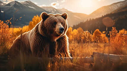 A Photograph capturing the majestic presence of a big bear amidst a vast, untamed landscape - obrazy, fototapety, plakaty