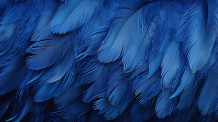 Obraz premium Macro of Blue Feathers Texture as Background. Swan Feather. Dark Blue Feather Vintage Backdrop