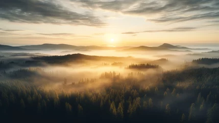 Gordijnen Top view of coniferous forest in autumn at sunset with fog, sunset, God Rays, autumn, drone view © bedaniel