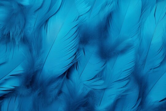 Blue Feathers Stock Photos, Images and Backgrounds for Free Download