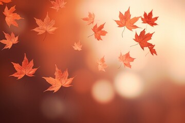 Flying fall maple leaves on autumn background, maple leaves on autumn background, autumn concept, fall maple leaves, autumn background